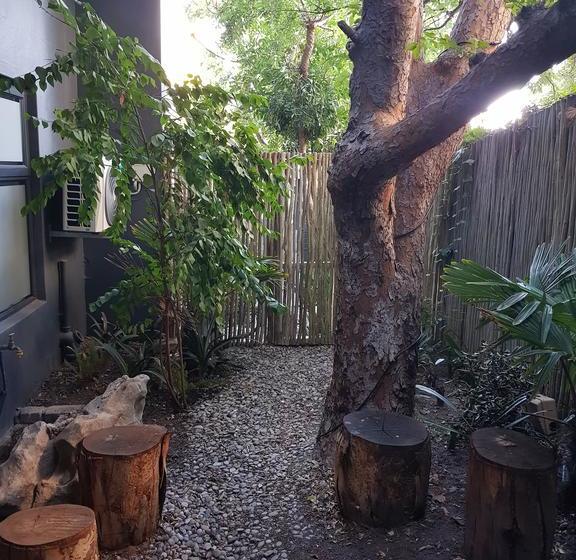 Hotel The Tree House Boutique 10