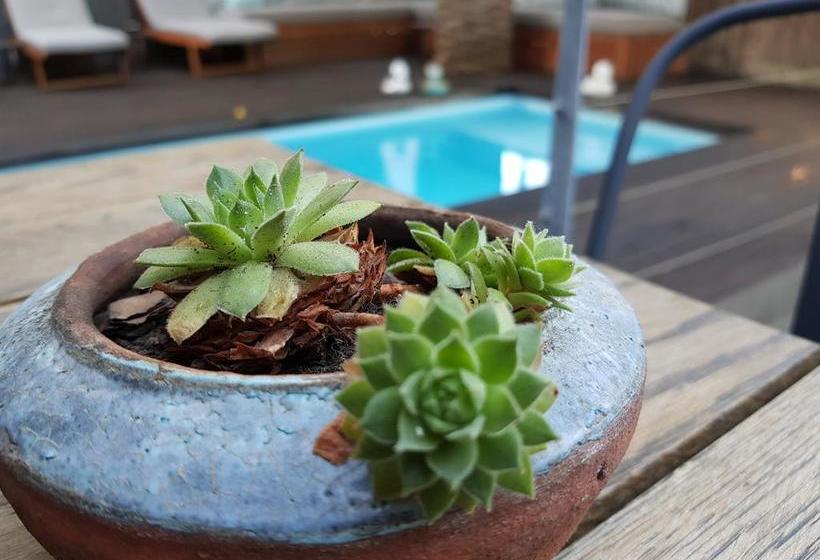 Hotel The Tree House Boutique 11