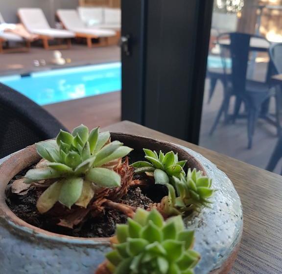 Hotel The Tree House Boutique 14