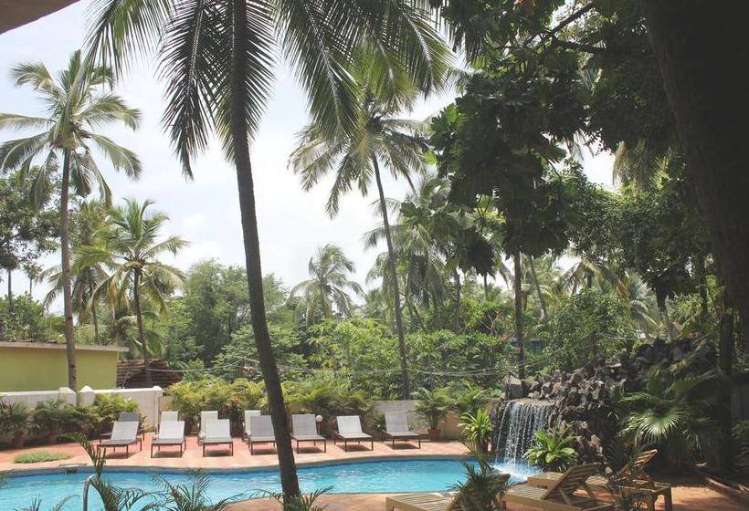 Hotel Silver Sands Sunshine Angaara 4