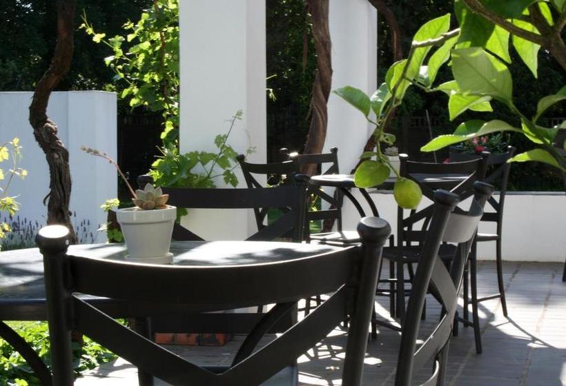 Pensión Lemon & Lime Guest House Bloemfontein