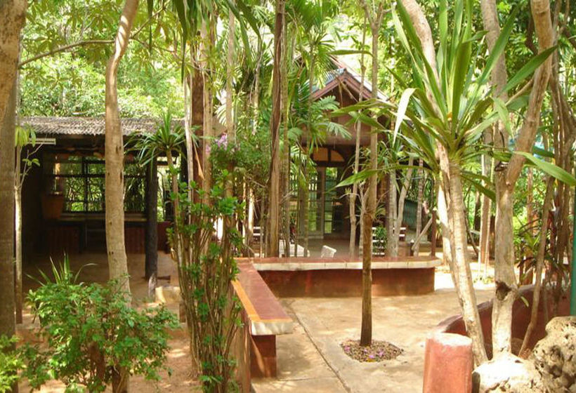 Pension Sam's Jungle Guesthouse 6