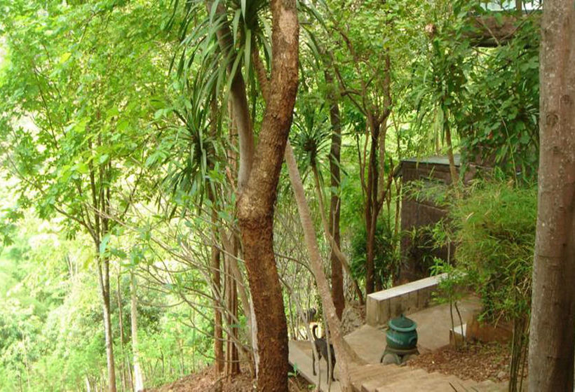 Pension Sam's Jungle Guesthouse 9