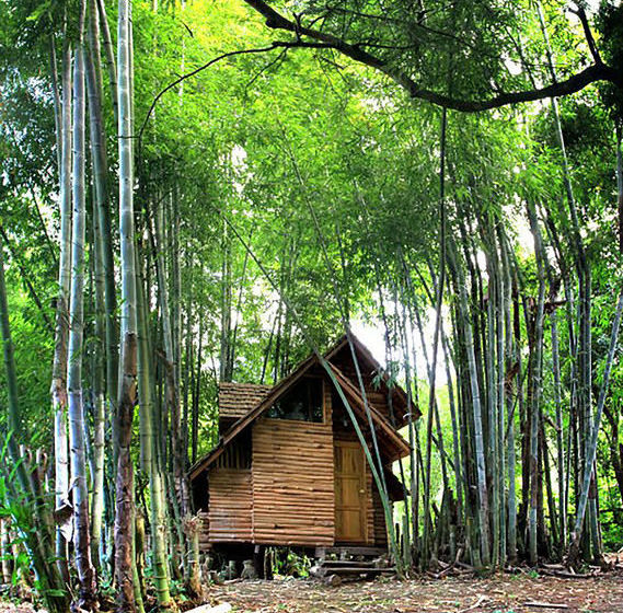 Hotel Rabeang Pasak Chiangmai Treehouse Resort 11