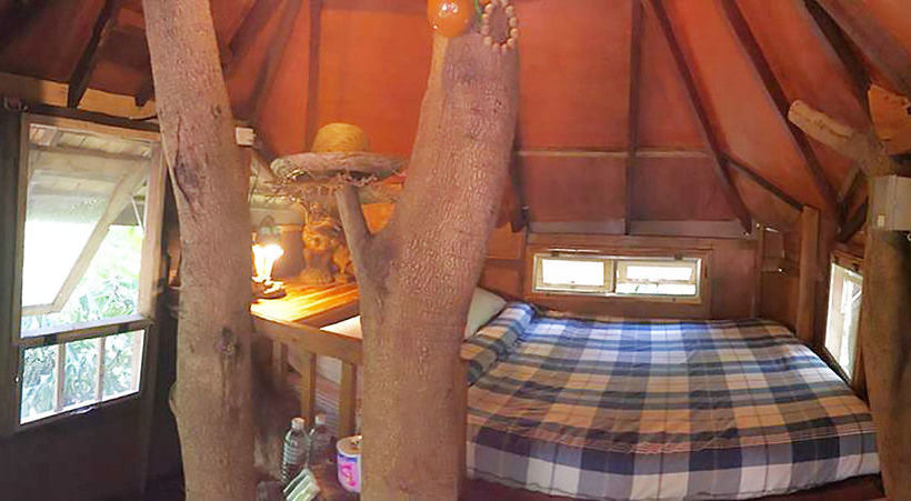 Hotel Rabeang Pasak Chiangmai Treehouse Resort 16