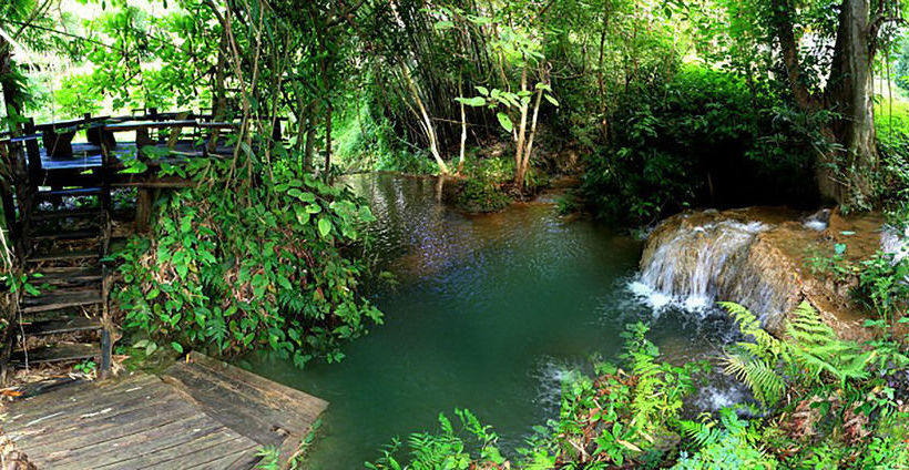 Hotel Rabeang Pasak Chiangmai Treehouse Resort 19