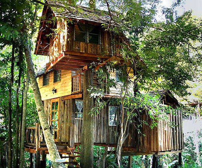 Hotel Rabeang Pasak Chiangmai Treehouse Resort 9