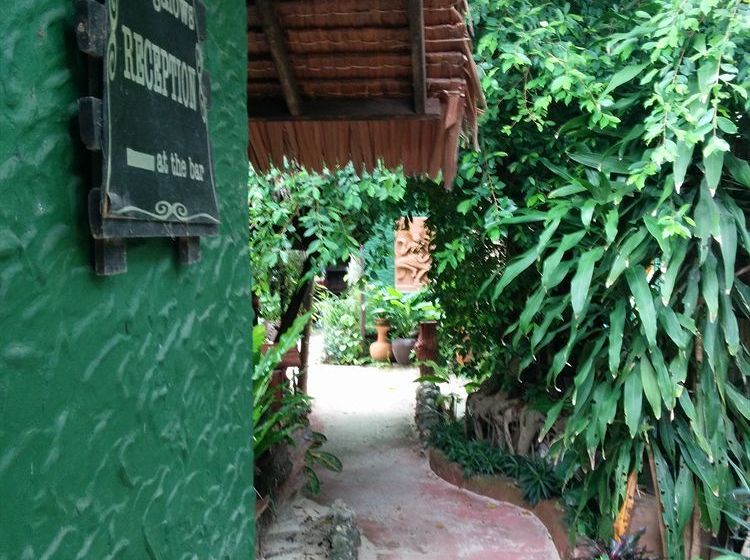 Resort Dolphin Bungalows 16