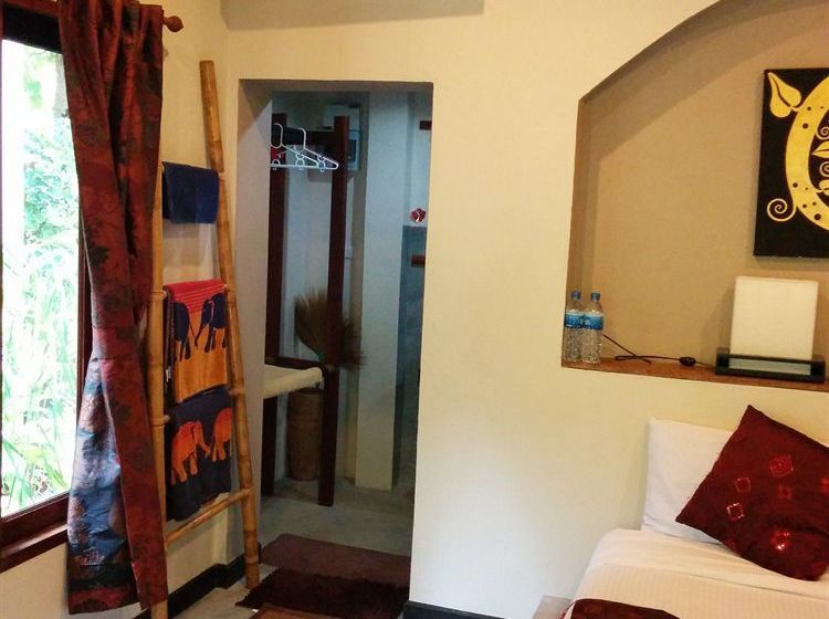 Resort Dolphin Bungalows 4