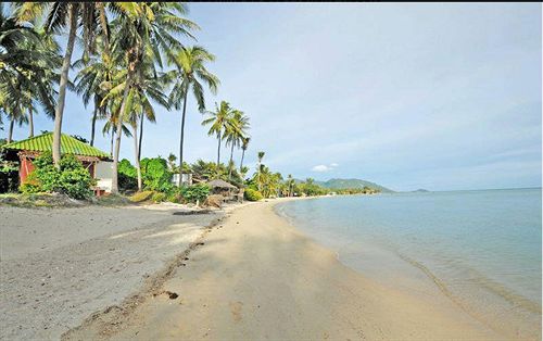 Zoe Frenchy Resort 8