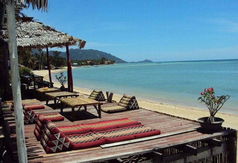 Zoe Frenchy Resort 9