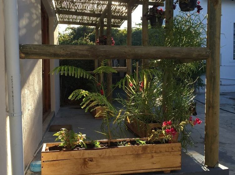 Pension Wittedrift Manor House 10