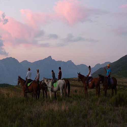 Pension Wittedrift Manor House 14