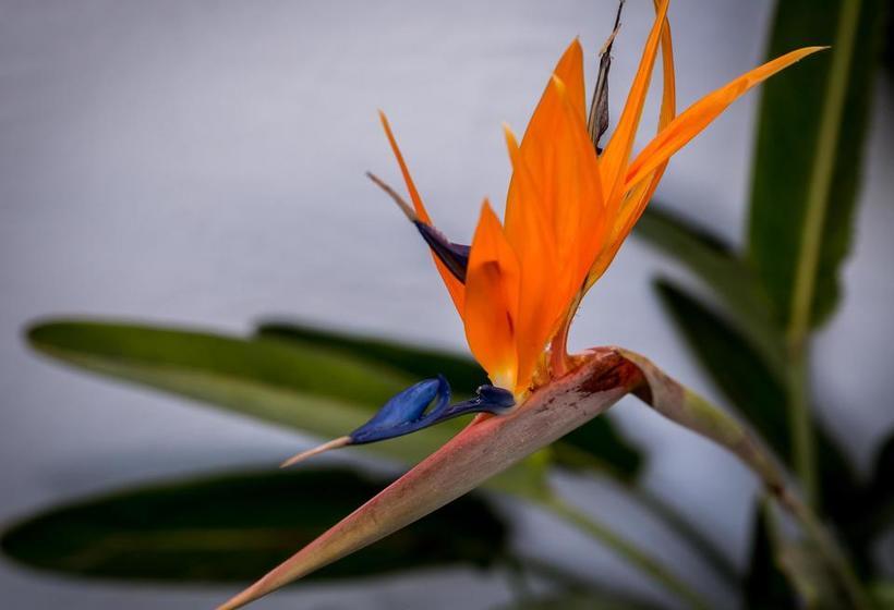 Hotel Hudson House 8