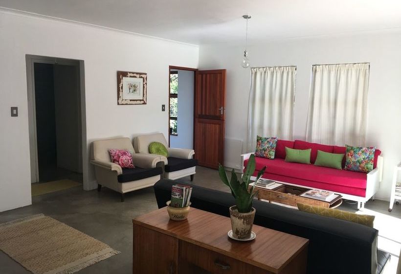 Stellenbosch Gardens 6