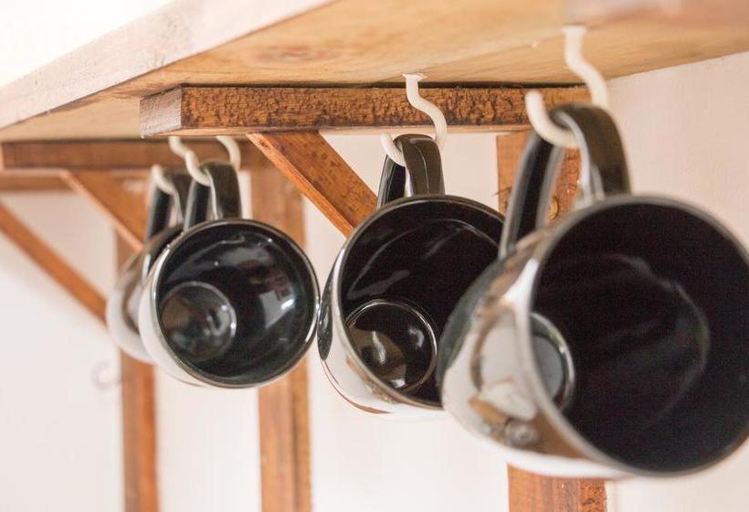 Bed and Breakfast Moolmanshof Swellendam