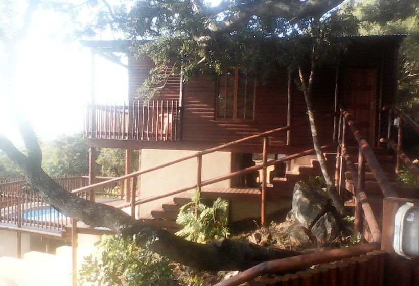 Hotel Amafu Forest Lodge 10