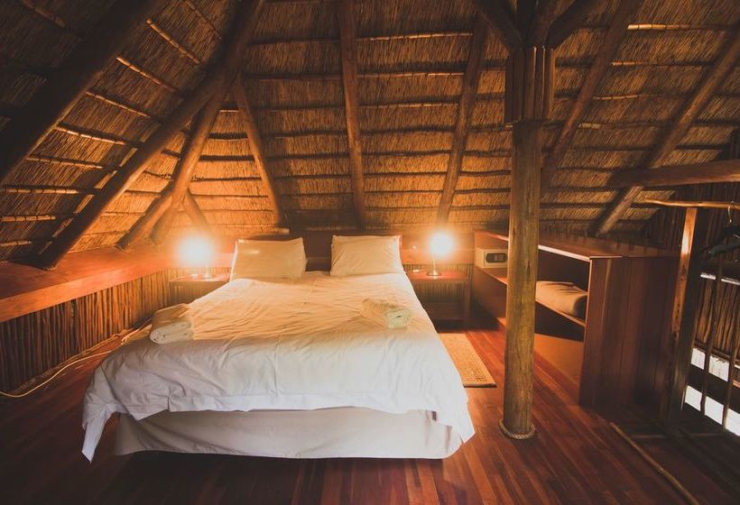 Hotel Amafu Forest Lodge 11