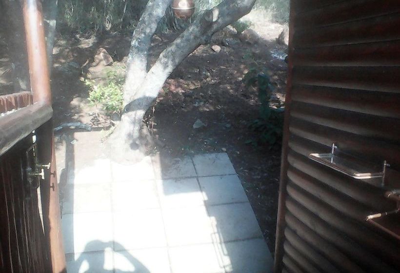 Hotel Amafu Forest Lodge 13