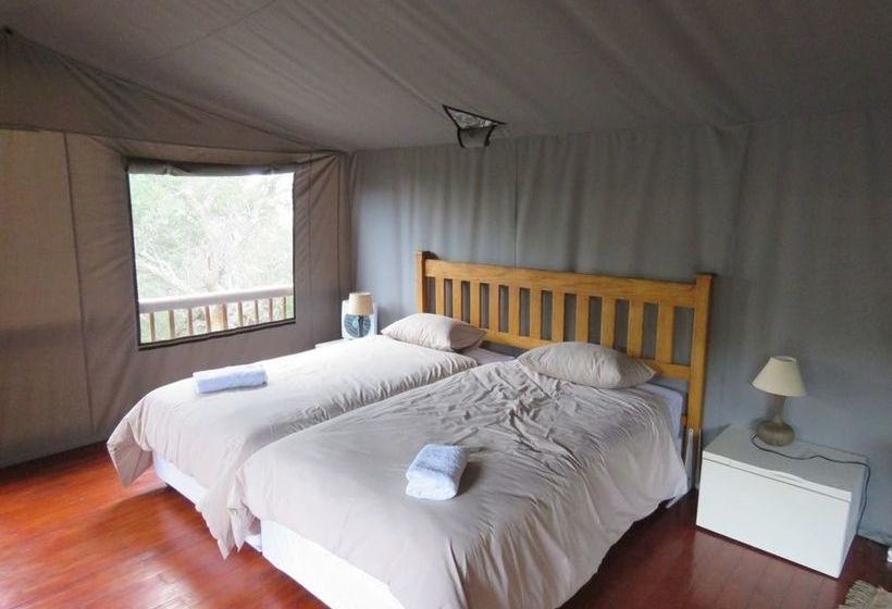 Hotel Amafu Forest Lodge 7