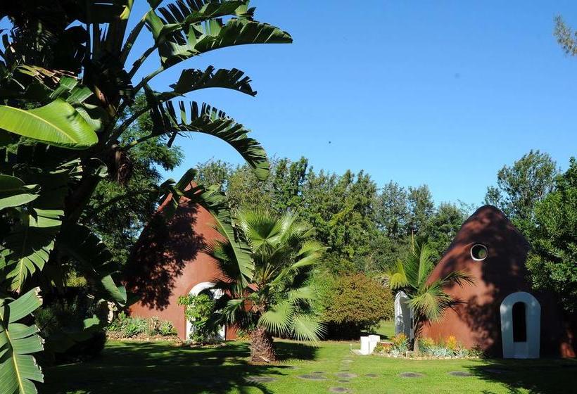 Bed and Breakfast Stellenhof Farmstay 2