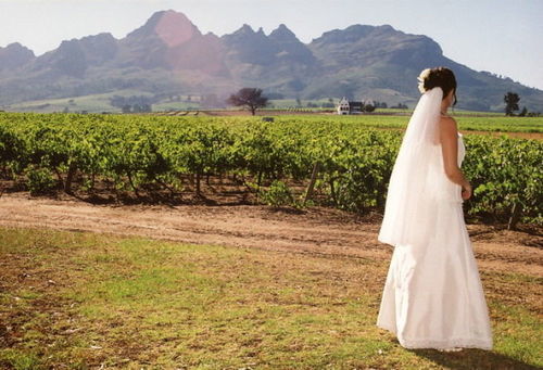 Pension Rosenview Guest House 8