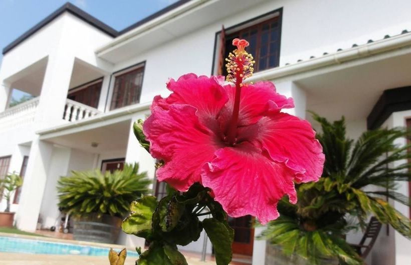 Pension Helderberg Guesthouse 11