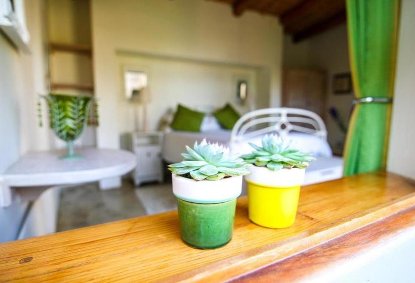 Babette Bed And Breakfast 16