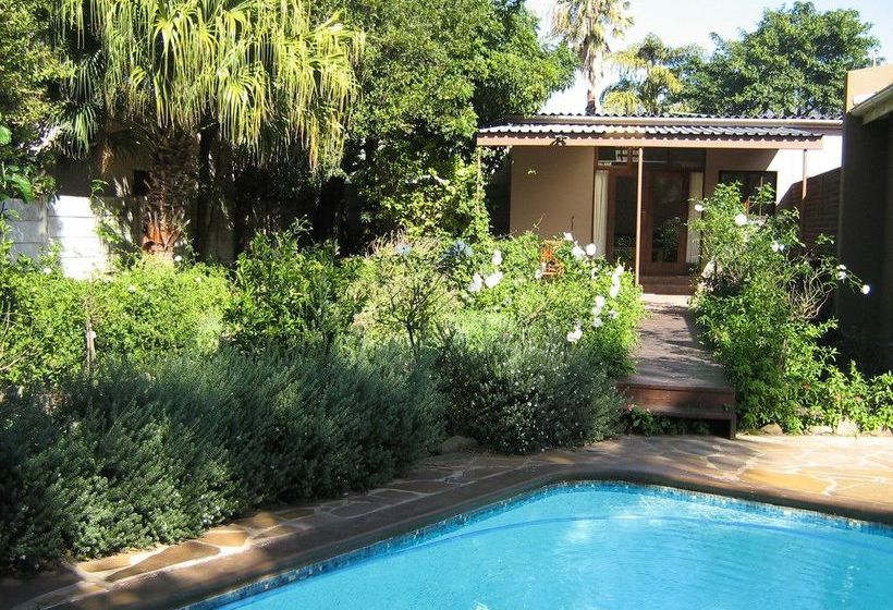 Pension Palm Tree Manor 16