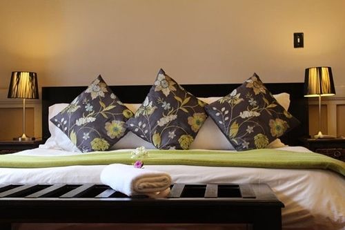 Pension Palm Tree Manor 6