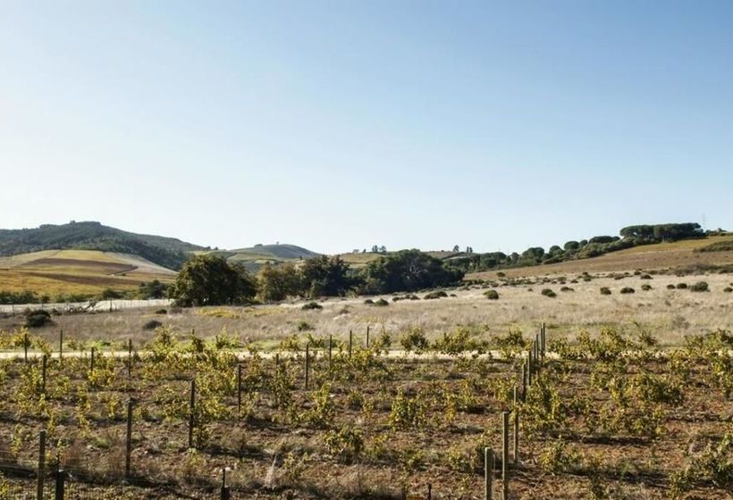 The Gilga Guest House 16