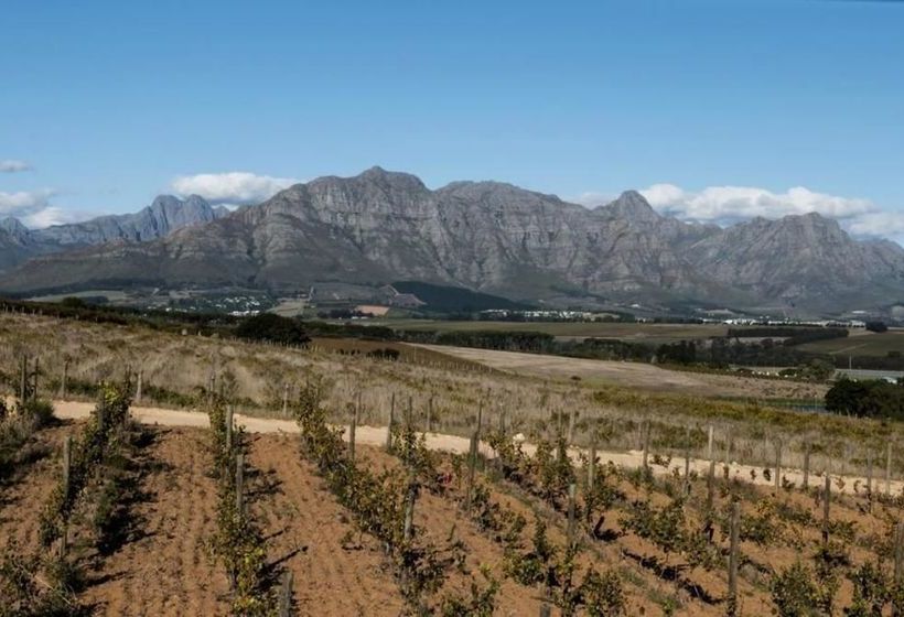 The Gilga Guest House 17