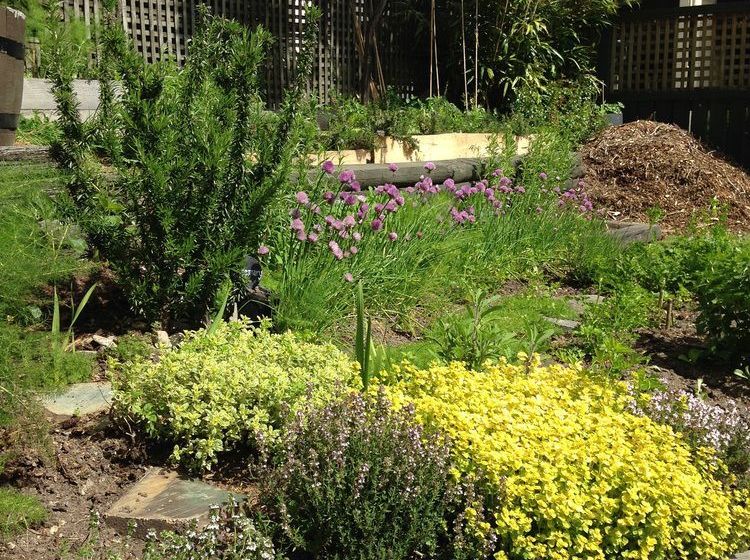 Blue Peaks Apartments 14