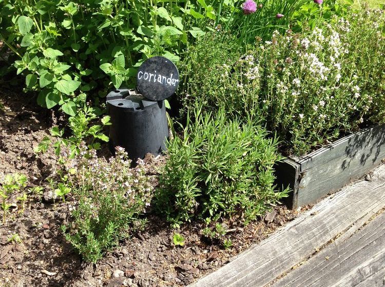 Blue Peaks Apartments 15