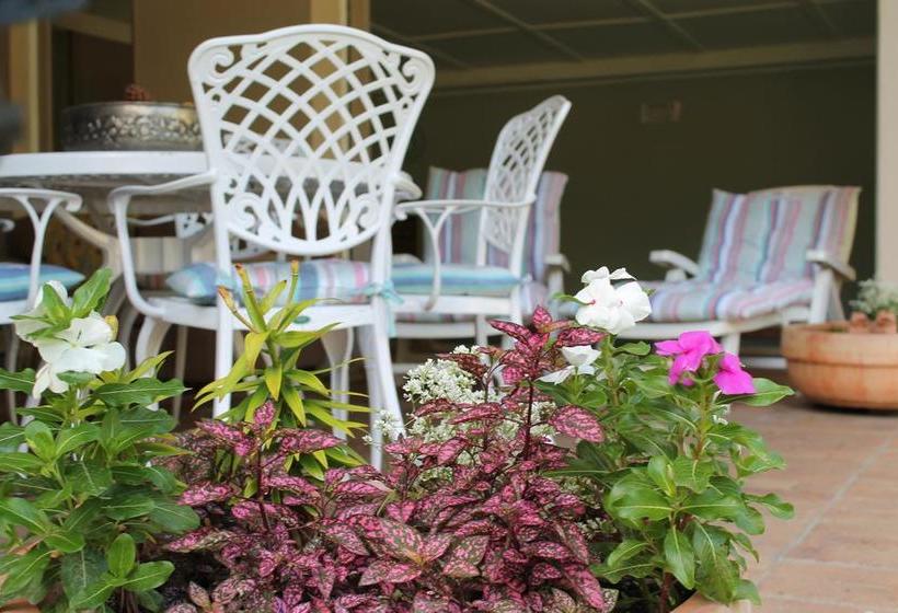 Bed and Breakfast Bella Casa 15