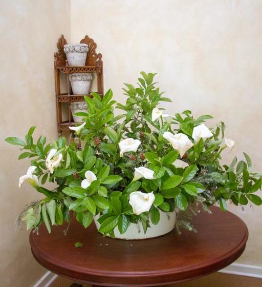 Bed and Breakfast Positano Guest House 14