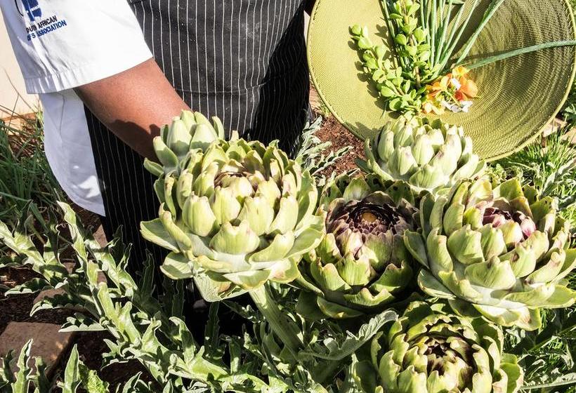 Hotel Kimberley Anne 13