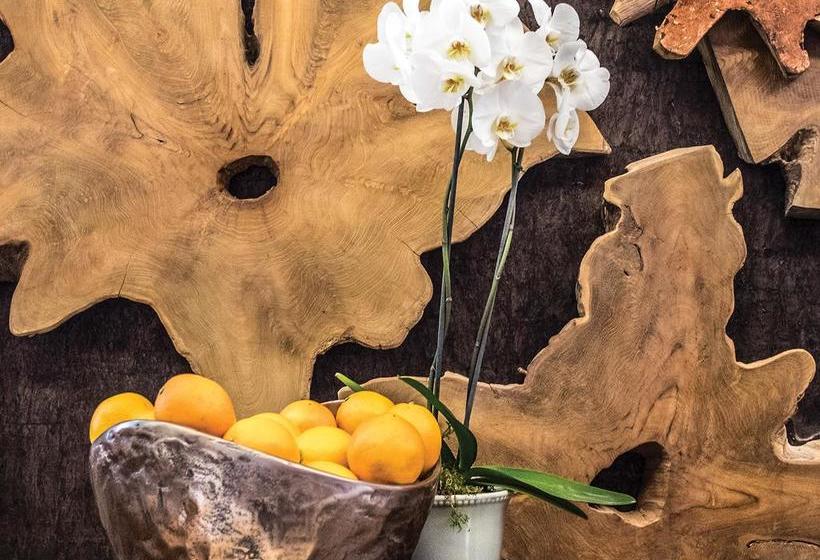 Hotel Kimberley Anne 2