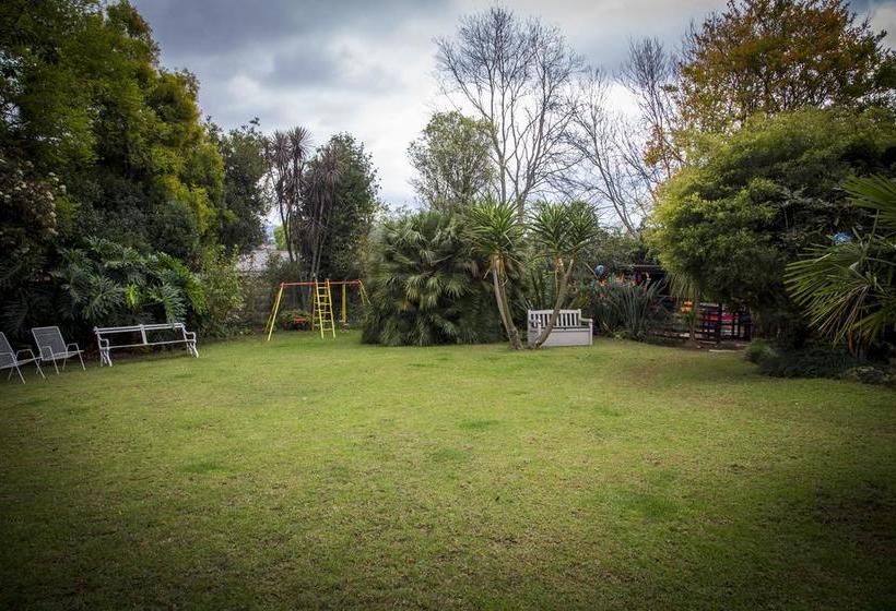 Bed and Breakfast Sunbird Guest House 10