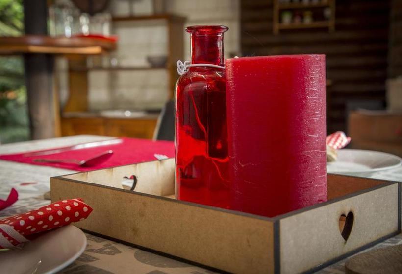 Bed and Breakfast Sunbird Guest House 12