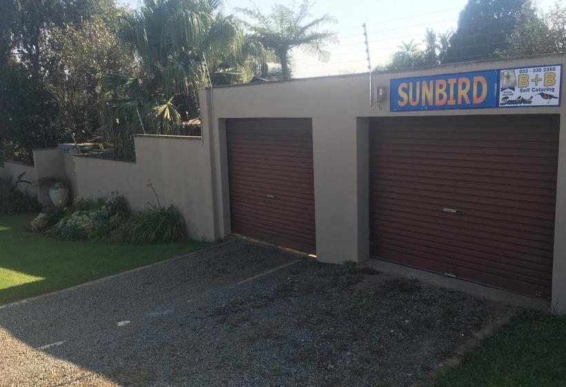 Bed and Breakfast Sunbird Guest House 17