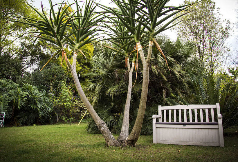 Bed and Breakfast Sunbird Guest House 18