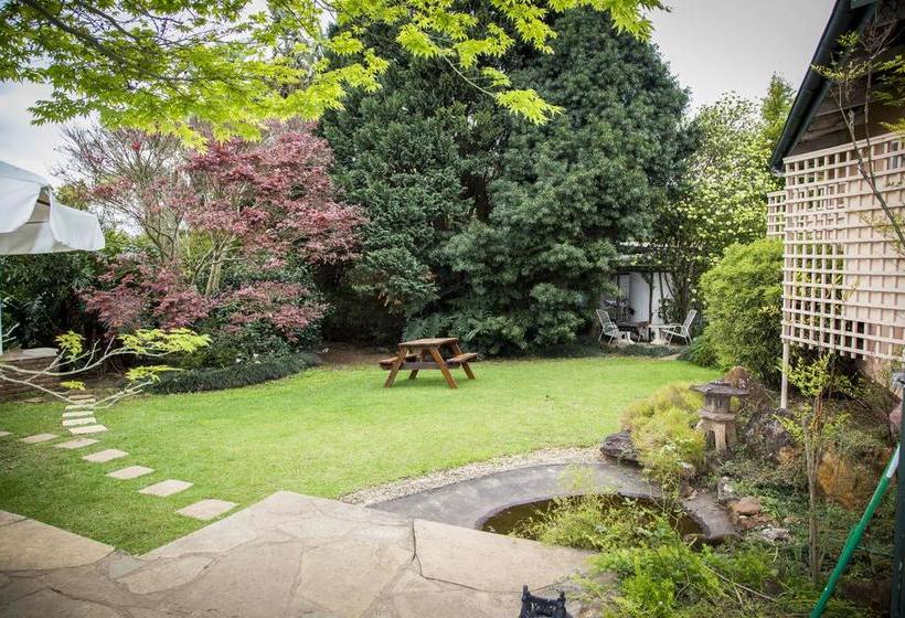 Bed and Breakfast Sunbird Guest House 5