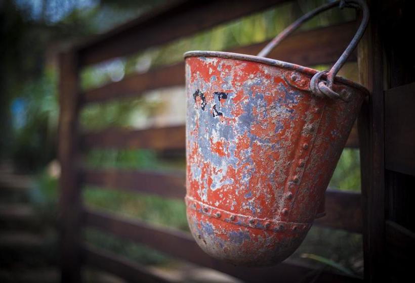 Bed and Breakfast Sunbird Guest House 9