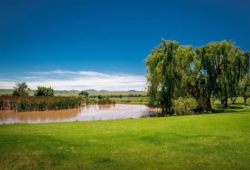 Conville Bed And Breakfast 9