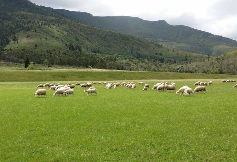 Bed and Breakfast Kurlandpark 8