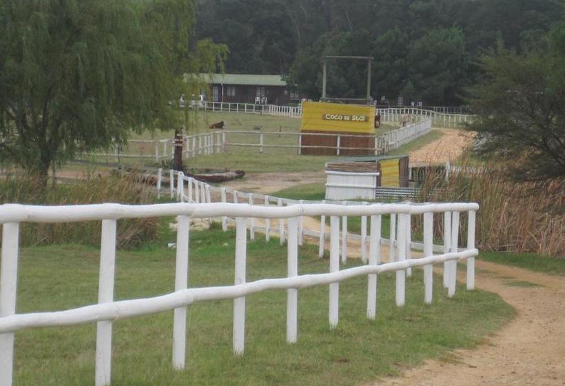 Bed and Breakfast Swelln2 Farm Lodge 1