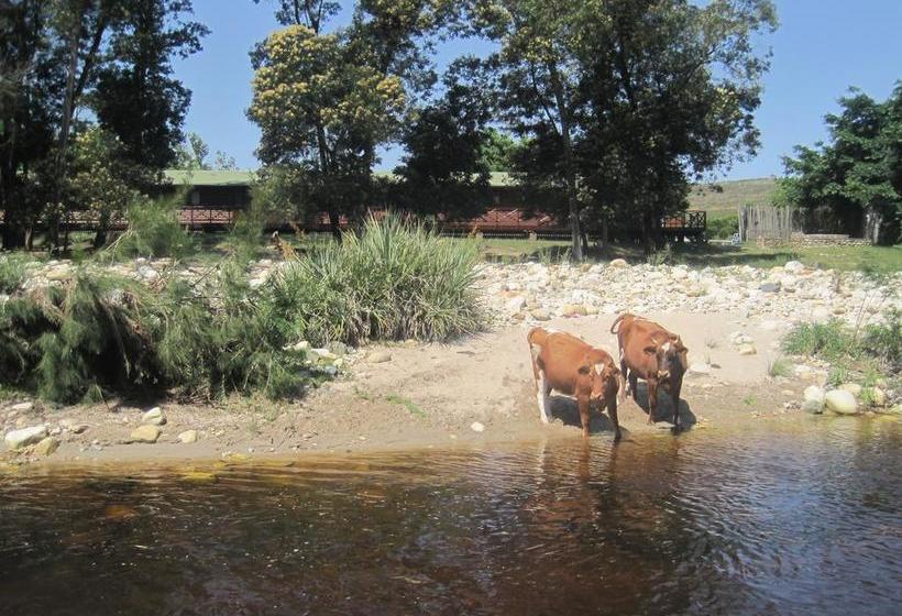 Bed and Breakfast Swelln2 Farm Lodge 6