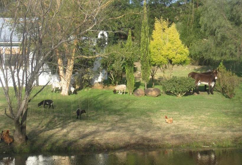 Bed and Breakfast Swelln2 Farm Lodge 7