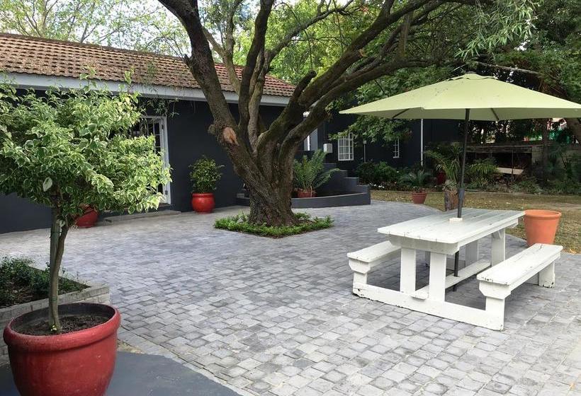 B&b The Garden Shed 7